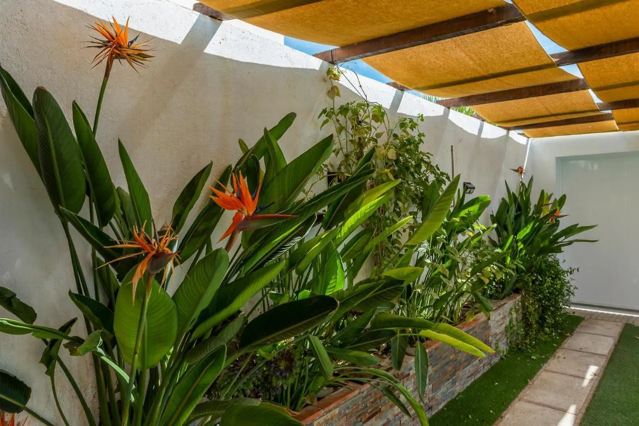 Acogedora Casita En La Subbetica, Centro De Andalucia, Granada Y Cordoba Villa Zambra Chalet
